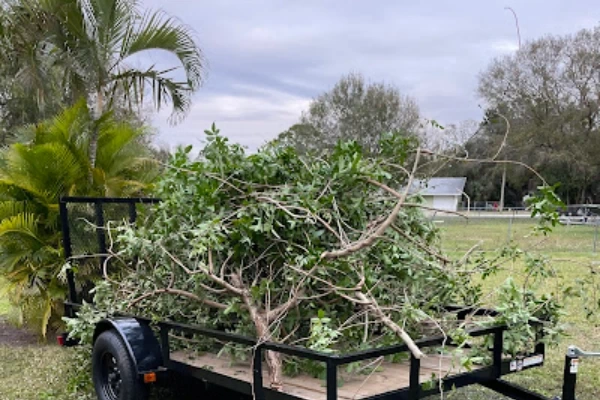 Yard Waste Removal