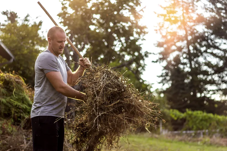Affordable Yard Waste Removal Hobe Sound, FL Affordable Yard Waste Removal Hobe Sound, FL