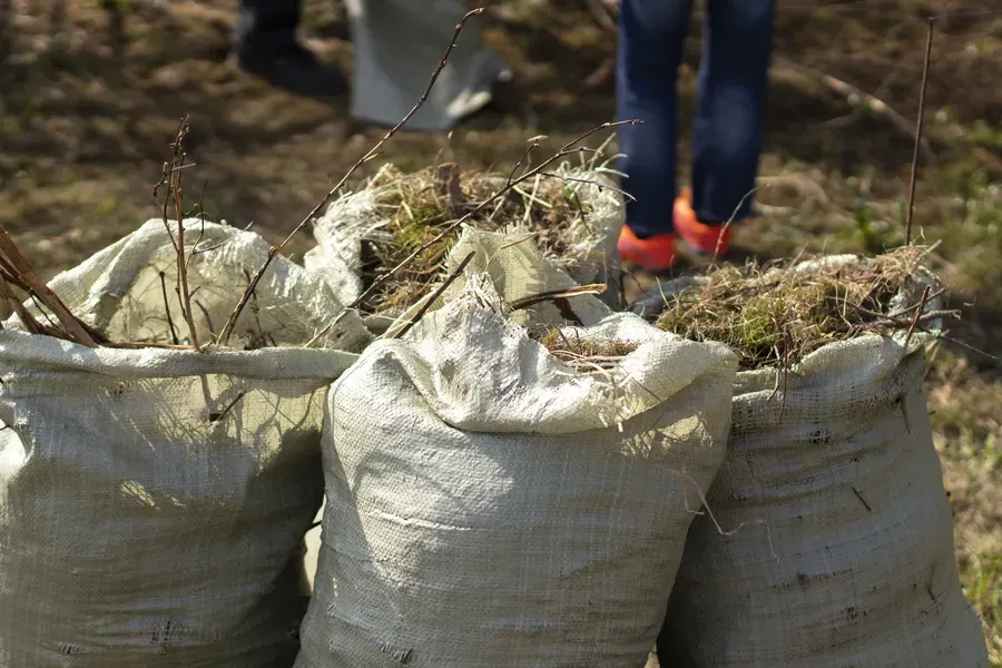 Affordable Yard Waste Removal in Hobe Sound, FL Affordable Yard Waste Removal in Hobe Sound, FL