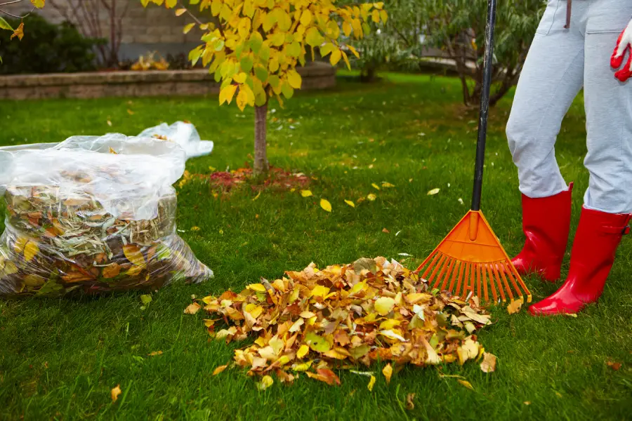 Excellent Yard Waste Removal Hobe Sound, FL Excellent Yard Waste Removal Hobe Sound, FL