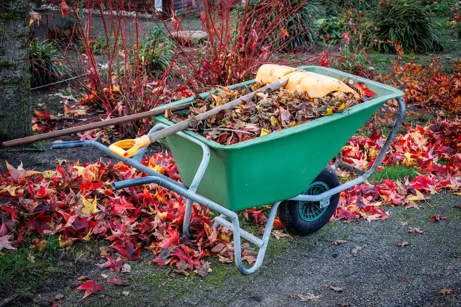 How Yard Waste Removal Supports Seasonal Lawn Maintenance Hobe Sound, FL How Yard Waste Removal Supports Seasonal Lawn Maintenance Hobe Sound, FL