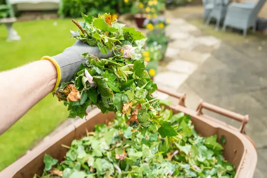 How Yard Waste Removal Supports Seasonal Lawn Maintenance Hobe Sound, FL How Yard Waste Removal Supports Seasonal Lawn Maintenance Hobe Sound, FL