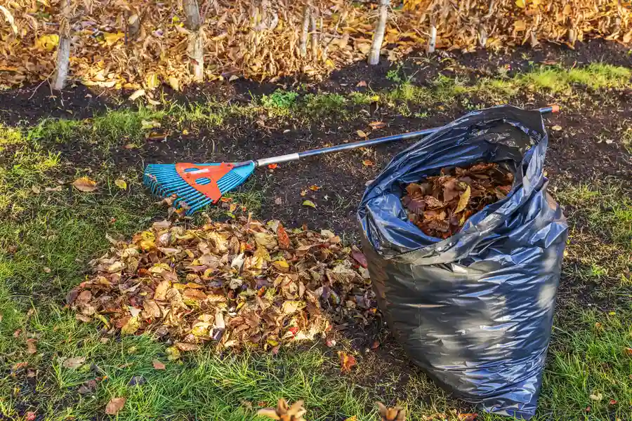 How Yard Waste Removal Supports Seasonal Lawn Maintenance in Hobe Sound, FL How Yard Waste Removal Supports Seasonal Lawn Maintenance in Hobe Sound, FL