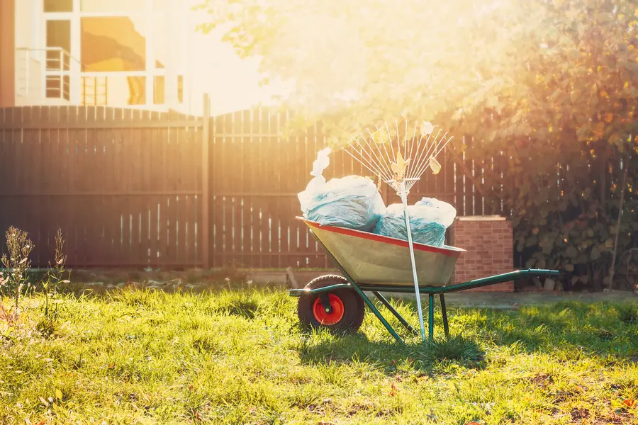 Quality Yard Waste Removal Hobe Sound, FL Quality Yard Waste Removal Hobe Sound, FL