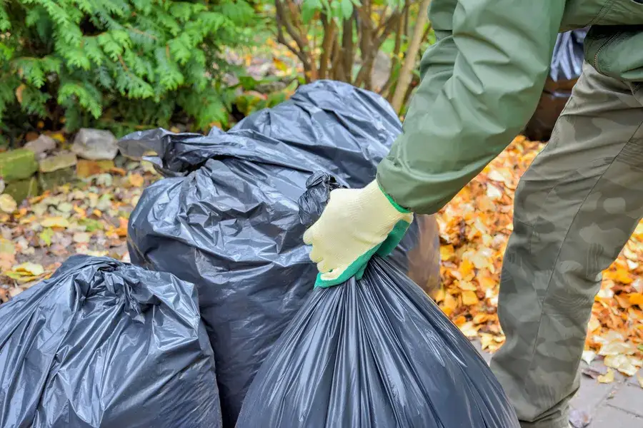 Reliable Yard Waste Removal in Hobe Sound, FL Reliable Yard Waste Removal in Hobe Sound, FL