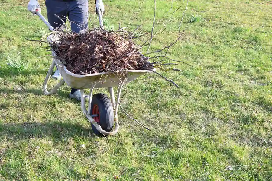 Understanding Yard Waste Collection Rules And Restrictions in Hobe Sound, FL