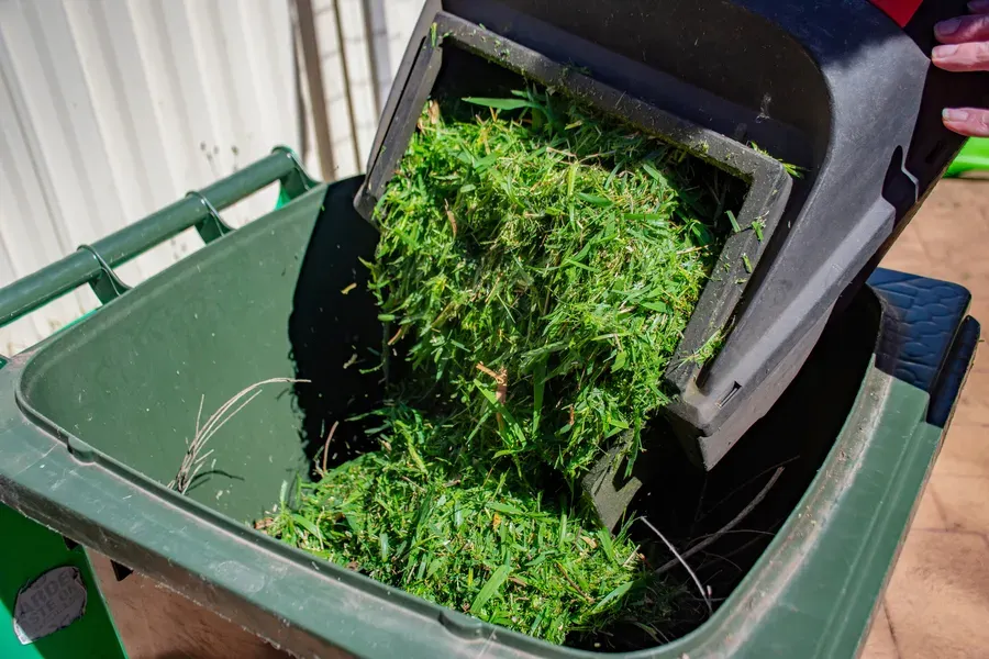 Understanding Yard Waste Collection Rules and Restrictions Hobe Sound, FL