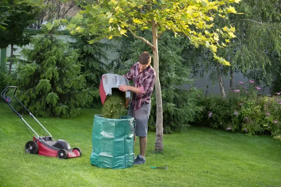 Understanding Yard Waste Collection Rules and Restrictions in Hobe Sound, FL